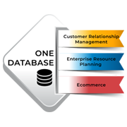 NetSuite wheel one database